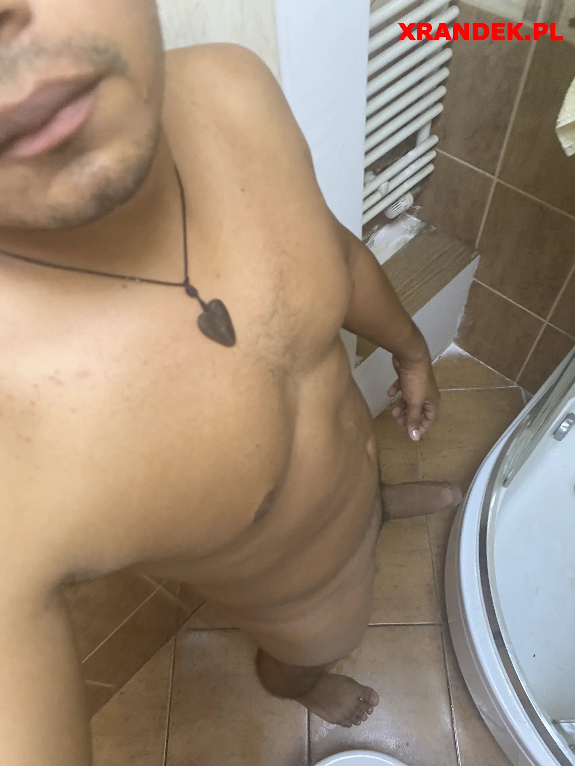 Vidernal mora